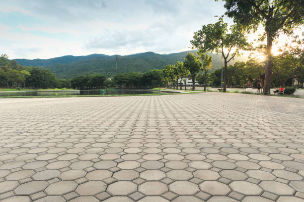 Best Best Driveway Pavers  in Texas City, TX