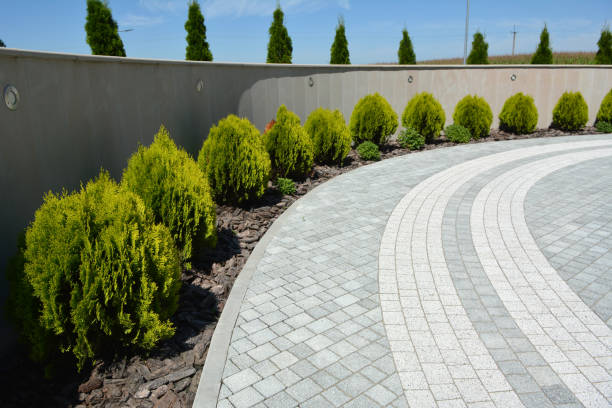 Best Affordable Driveway Pavers  in Texas City, TX