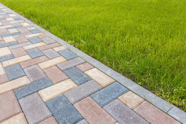 Best Residential Paver Driveway  in Texas City, TX
